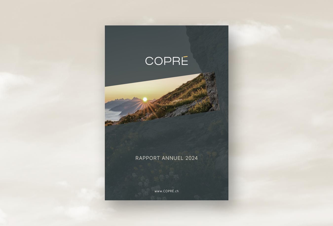 Rapport annuel 2024