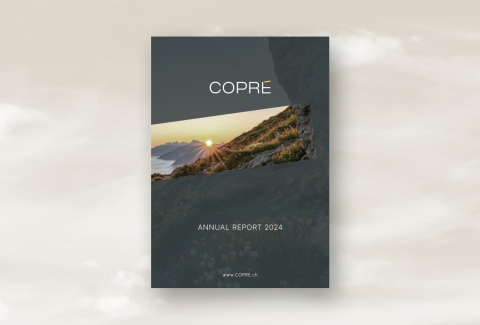Annual report 2024